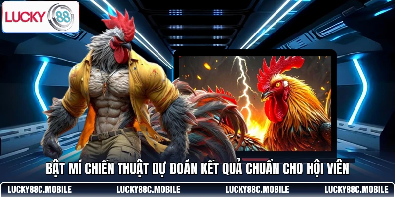 Bật mí chiến thuật dự đoán kết quả chuẩn cho hội viên