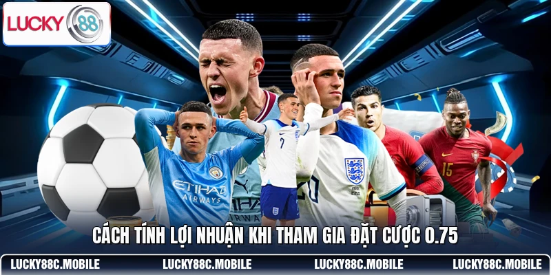 Cách tính lợi nhuận khi tham gia đặt cược 0.75