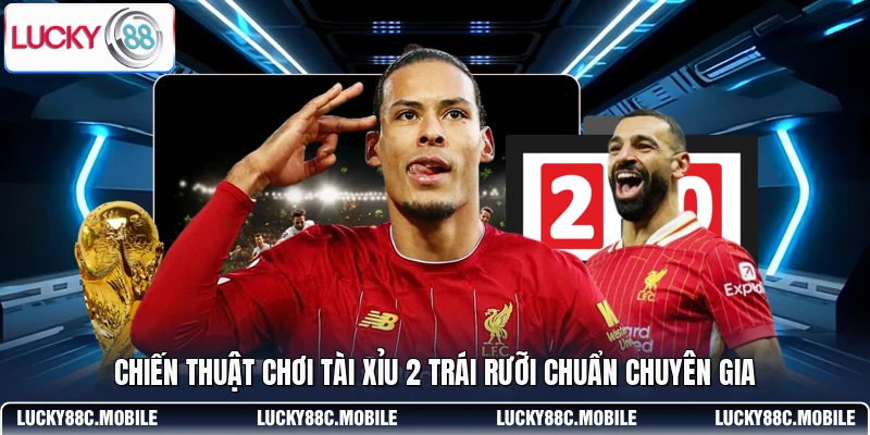 Chiến thuật chơi Tài Xỉu 2 trái rưỡi chuẩn chuyên gia