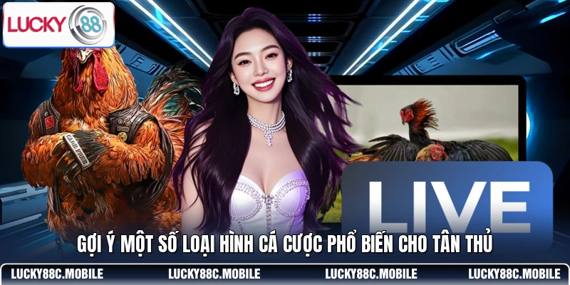 Gợi ý một số loại hình cá cược phổ biến cho tân thủ
