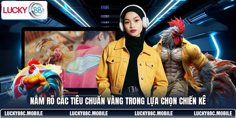 Nắm rõ các tiêu chuẩn vàng trong lựa chọn chiến kê