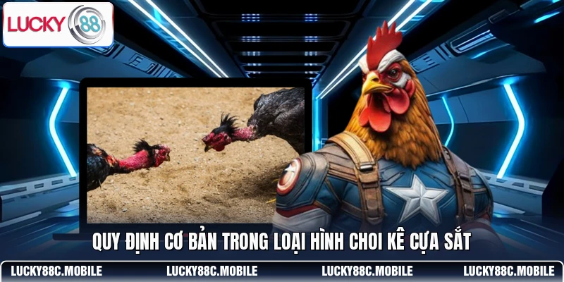 Quy định cơ bản trong loại hình choi kê cựa sắt