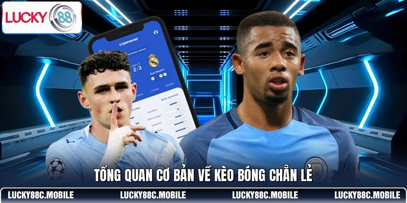 Tổng quan cơ bản về kèo bóng chẵn lẻ